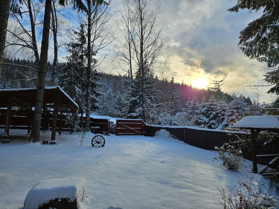 Fabian Kulcsoshaz Villa Izvoare  Buitenkant foto