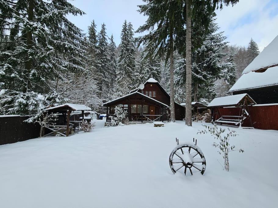 Fabian Kulcsoshaz Villa Izvoare  Buitenkant foto